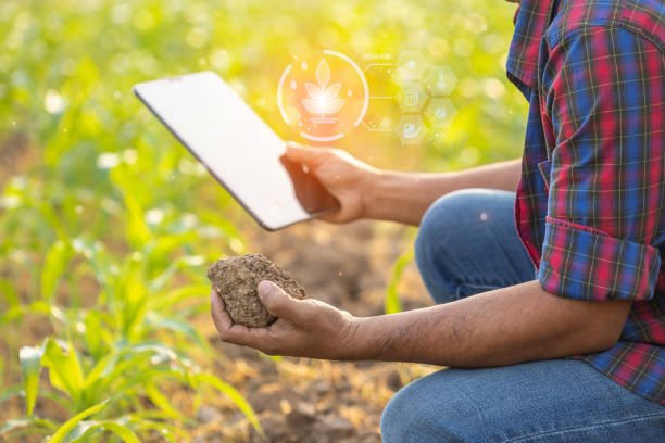 Smart Agriculture: A Farmer's Guide to IoT Solutions In 2024