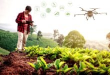 IoT in Agriculture