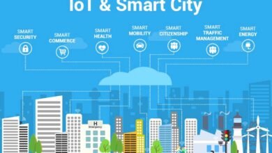 Useful Applications of Cellular IoT in Smart City Environments