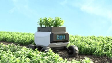 What is Smart Farming: The Future of IoT in Agriculture